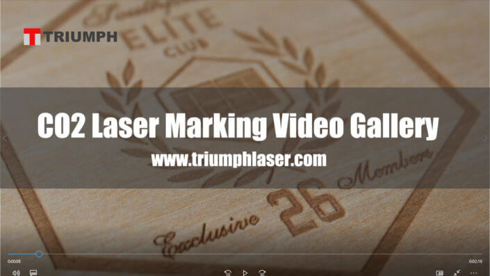 CO2 Laser Marking Video Gallery