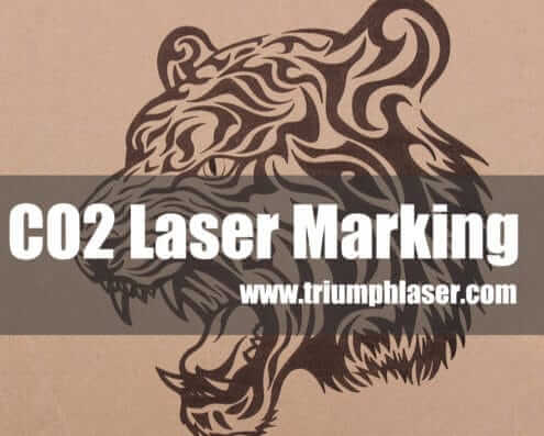 CO2 laser marking machine