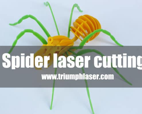 Laser cutting machine for acrylic 3D spider model laser cutter