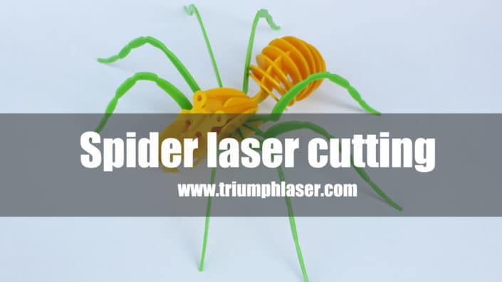 Laser cutting machine for acrylic 3D spider model laser cutter