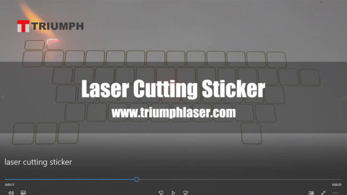 Laser cutting sticker