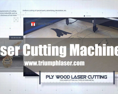 Triumphlaser Laser Cutting Machine