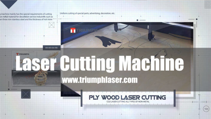 Triumphlaser Laser Cutting Machine