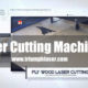 Triumphlaser Laser Cutting Machine